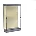 Edge Series Floor Display Case Base Color: Carbon Mesh, Frame Color: Dark Bronze, Case Backing: Silk