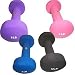 Sporting Goods : Sunny Health and Fitness 2 Pound Neoprene Dumbell