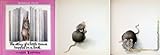 The story of a little mouse trapped in a book