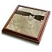 Beverly Turner Just Married Design - Just Married, Tie the Knot, Gold - Trivets