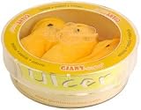 Ulcer Mini Plush in Petri Dish by Giant Microbes
