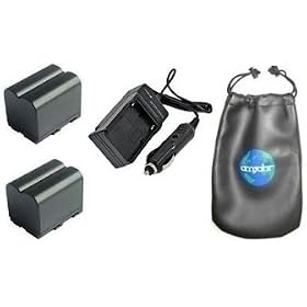 ValuePack (2 Count): Digital Replacement Battery PLUS Mini Battery Travel Charger for... by amsahr