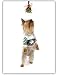yorkshire terrier - Yorkshire Terrier (Yorkie) Dog with Mistletoe Christmas Holiday Greeting Card 10 Pack Set Gifty Idea