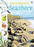 Seashore (Usborne Nature Trail)