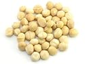 Premium Macadamia Nuts