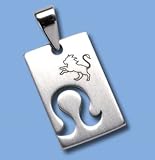 Stainless Steel Pendant - Necklace Etched Zodiac Design - Leo