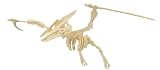 Review Quay  / Pterodactyl - Woodcraft Construction Kit