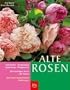 Alte Rosen