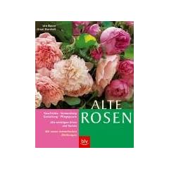 Alte Rosen: Alle wichtigen Arten und Sorten im Portr�t