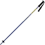Product details for Swix Junior Aluminum Alpine Ski Poles with Junior Handle