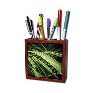 Boehm Photography Grass - Morning Dew - Tile Pen Holders-5 inch tile pen holder