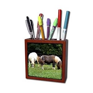 WhiteOak Photography-Horses - Two Minature Horse eating - Tile Pen Holders-5 inch tile pen holder