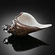 Dark Crackled Art Glass Conch Shell