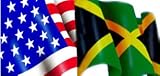 Airbrushed License Plates – American/jamaican Flags – #1796