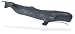 Wild Safari Sealife: Sperm Whale Adult