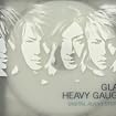 HEAVY GAUGE