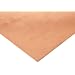 Copper 110-O60 Sheet, ASTM B152