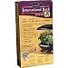 AeroGarden International Basil Seed Kit