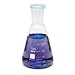 WPI CG-0111 Glass Erlenmeyer T-II Flask with Taper-Ground Neck, 125mL Capacity (Pack of 6)