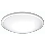 Buy American Fluorescent CF2054ET Capri 1-22, 1-32 Watt Flush Mount Light Fixture,... by American Fluorescent