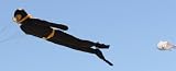 Martin Lester's Albert Ross: Scuba Diver Parafoil Kite