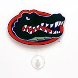 Florida, Gators NCAA Fan Wave