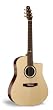 Seagull Artist Peppino CW - Mint/Used