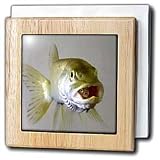 Review 3dRose LLC  / Eat Me Baby - 6 Inch Tile Napkin Holder