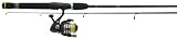 Rhino II Indestructible Glow Tip 30SZ/662M Fishing Rod and Reel Combo