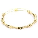 Alex And Ani Bangle Bar Bamboo Bangle