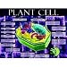 Cells: Structure Function & Processes Posters