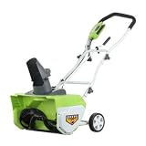 GreenWorks 26032