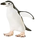 Eigenschaften Safari / Kehlstreifenpinguin oder Zügelpinguin