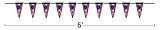 Toronto Raptors Pennant String (6 foot)