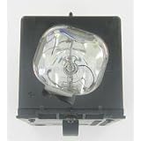 Panasonic PT40LC12 Lamp with Housing TY-LA1500
