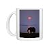 African ELEPHANT - feeding along shore of Lake Kariba at sunset Photo Mugs