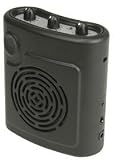 Portable guitar amplifier