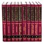 Encyclopedia of World Cultures: South Asia