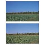 Sunpak 58mm Intensifier Blue Filter