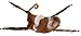 Marshall Pet Hanging Monkey Hammock