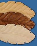 Emerson Fan Blade Set B50WS Five, 23