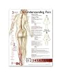 Understanding Pain Anatomical Chart