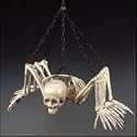 4th Quality Spider Bart (SPID2)