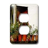IMAGE OF Albom Design Landscapes - Flowers on an Old Deck Yelapa Mexico - Light Switch Covers - 2 plug outlet cover