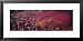 People Celebrating Holi, Braj, Mathura, Uttar Pradesh, India Framed Art Poster Print ...