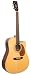 Recording King Classic Series I Dreadnought Acoustic Guitar, Mahogany Back & Sides, Cutaway with Fishman Pickup