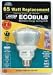 Compact Fluorescent Indoor Reflector R30