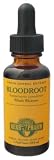 Herb Pharm - Bloodroot, 1 fl oz