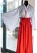 Japanese Anime Cosplay Costume Inuyasha Kikyou & Kikyo , Large