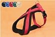 Premium Geschirr (S), gef.,35-50cm/25mm, rot